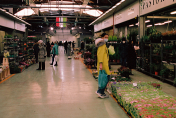 Flower Market in Milan