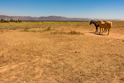 Guadalupe Valley, Mexico