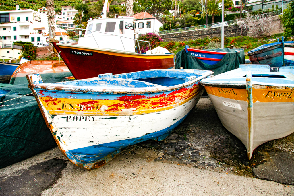 ../_images/madeira-boats.jpg