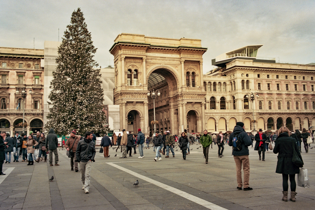 ../_images/milan-galleria-christmas-tree.jpg