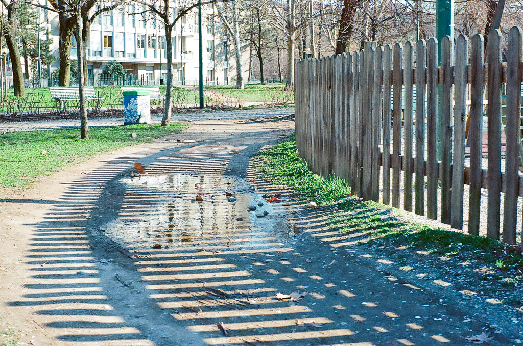 _images/russelljtdyer_canon-p-puddle-20101030-rangefinders.jpg
