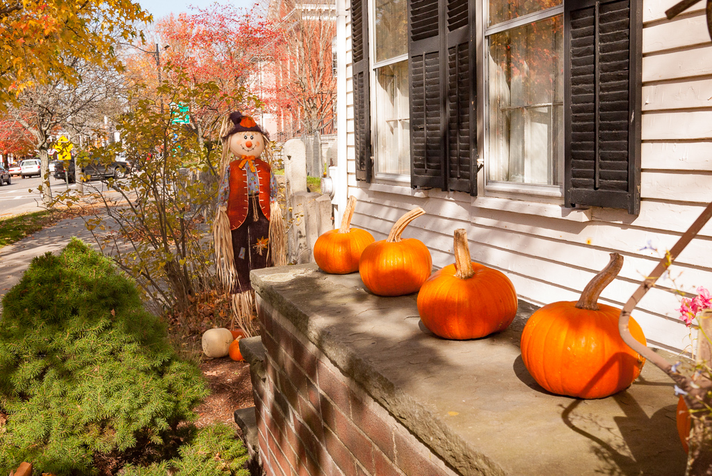 russelljtdyer-concord-pumpkins-20101030-1.jpg